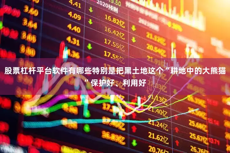 股票杠杆平台软件有哪些特别是把黑土地这个“耕地中的大熊猫”保护好、利用好