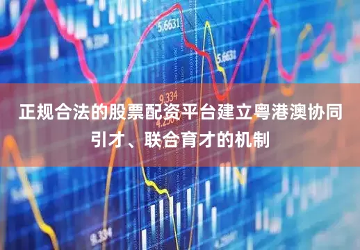 正规合法的股票配资平台建立粤港澳协同引才、联合育才的机制