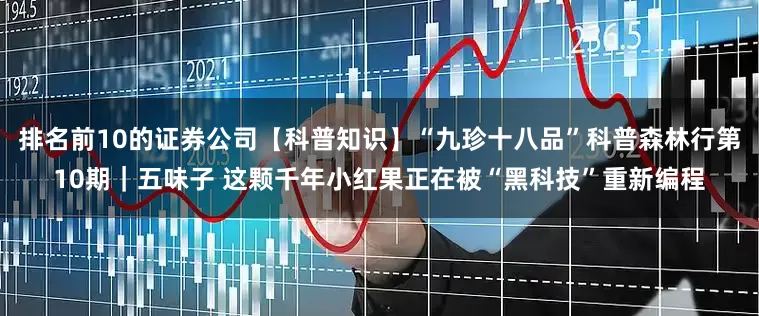 排名前10的证券公司【科普知识】“九珍十八品”科普森林行第10期｜五味子 这颗千年小红果正在被“黑科技”重新编程