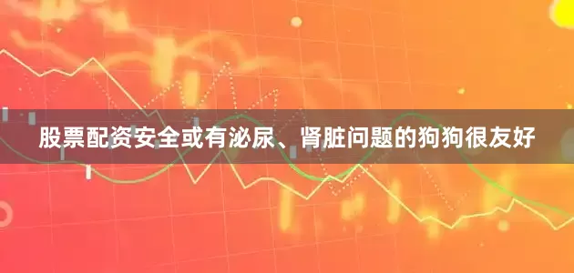 股票配资安全或有泌尿、肾脏问题的狗狗很友好