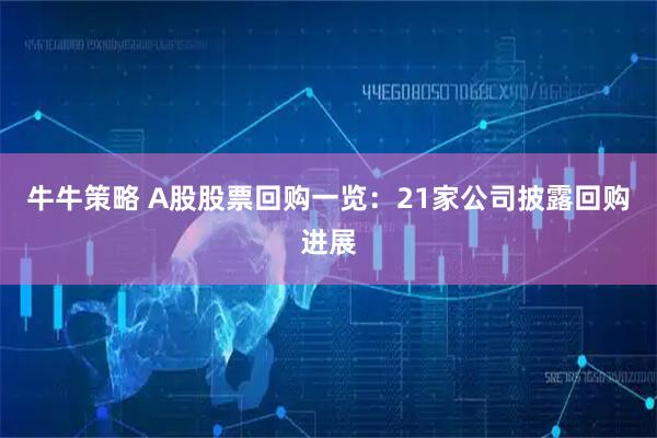 牛牛策略 A股股票回购一览：21家公司披露回购进展